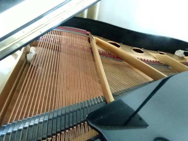 Grand piano cũ giá rẻ, Noying Deman, người mới bắt đầu học gia đình chuyên nghiệp, chỉ có một 	đàn piano mini giá rẻ
