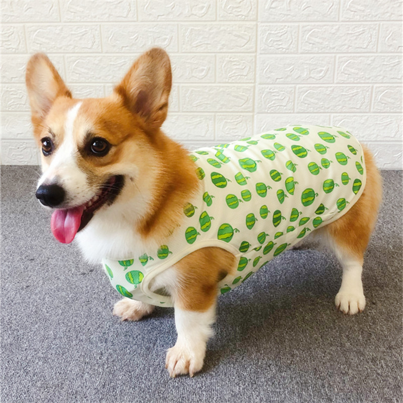 狗狗衣服夏装夏天薄款小型犬