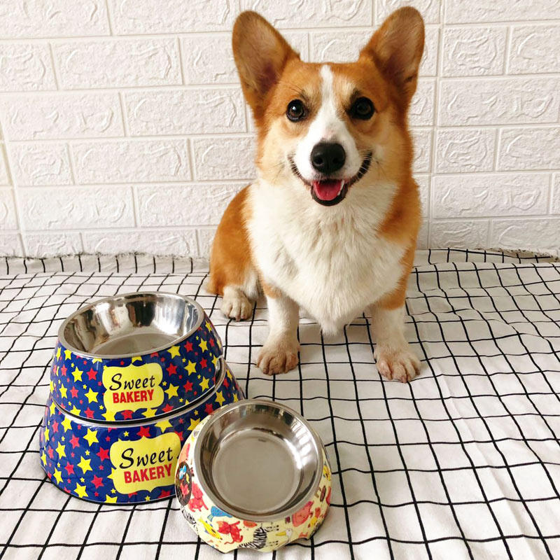 Dog Bowls Single Bowl Stainless Steel Big large canine dog Pooch Pooch pooch Cute Kirky Teddy Dog Cat Bowls can be torn down