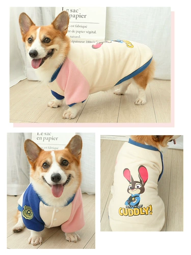 Одежда для любителей собаки осень, зима, зима и зима плюс бархатный плюшевый плюшевый корги