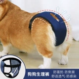 Физиологические штаны для домашних животных.