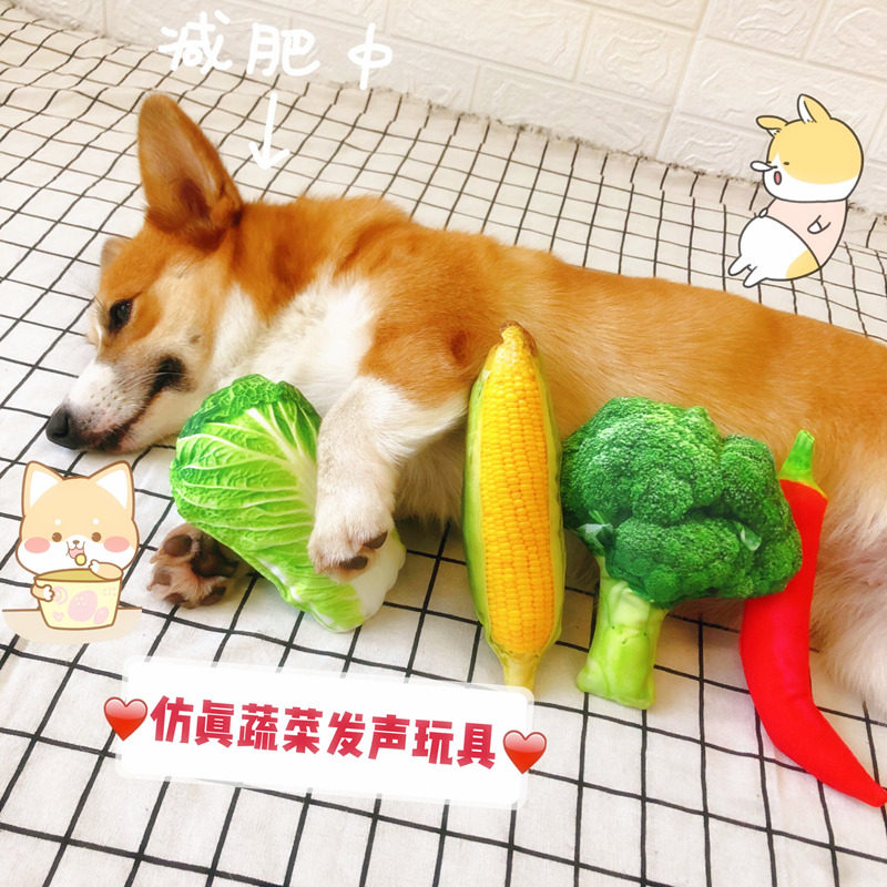 Pet dog simulation food sounding toy bite-resistant corgi method fighting puppies small dog venting dog supplies