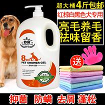 Dog bathing with body wash with body lotion deodorant teddy fight exclusive for lice to flea deworming