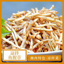 Hunan Xiangxi local specialty Huaihua Yuanling homemade fresh cut root salad Houttuynia farm folding ear root Zegen