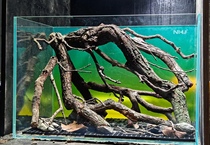 Yellow pear wood yellow pear branches antler branches yellow oak South American sunken wood native tank South American landscaping yellow pear wood customization