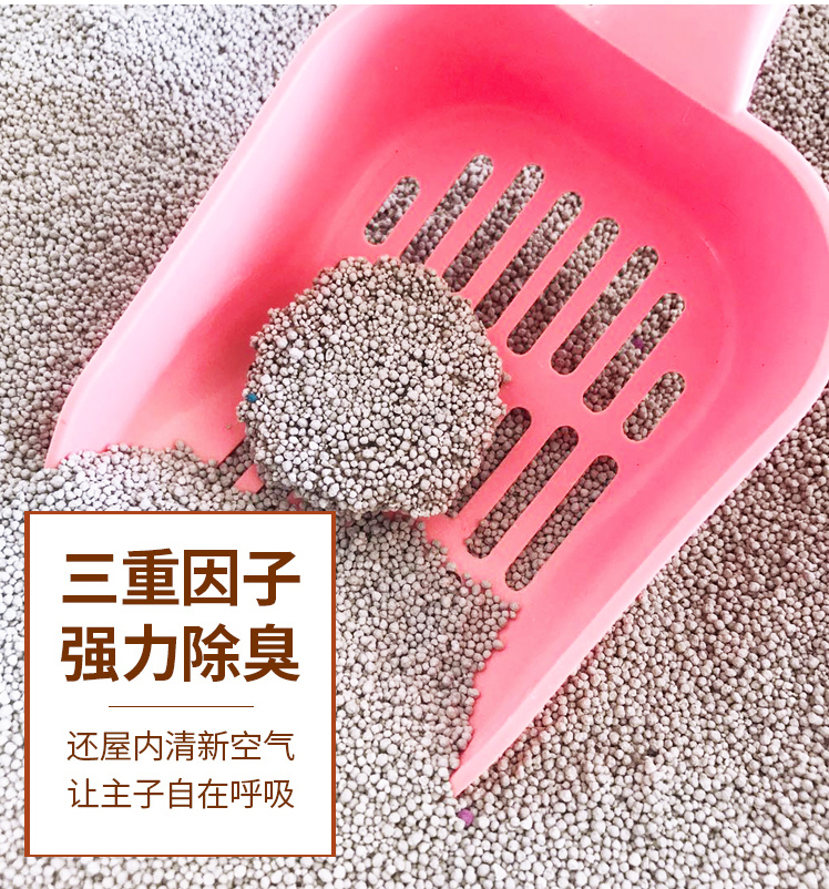 小白 猫砂 无尘 10L Nhóm cát bóng Bentonite khử mùi cát mèo Cát nặng 8kg kg - Cat / Dog Beauty & Cleaning Supplies găng tay chải lông mèo hà nội	