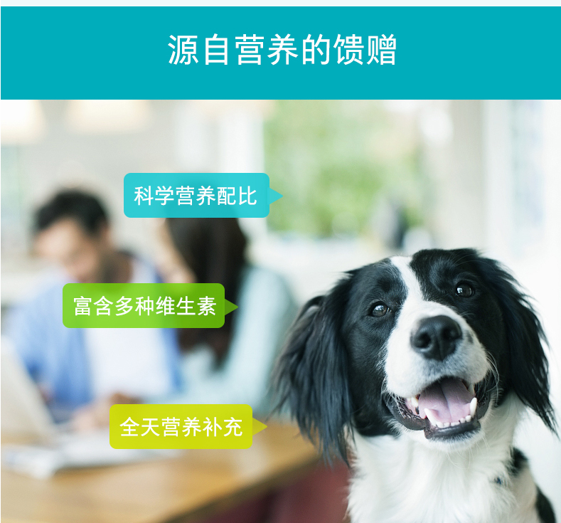 18 tỉnh Nours Wei Shi viên vitamin tổng hợp U series chó mèo dinh dưỡng chăm sóc sức khỏe sản phẩm mới 160 viên / chai 	sữa cho chó con 1 tuần tuổi	