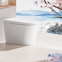 (Exclusive for Good Things Experience) Huida Smart All-in-one Light Smart Zero Pressure Soft Flush Toilet ES30Max