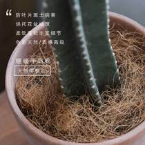  Nuannuan peninsula paving coconut brown silk heat insulation breathable anti-splash anti-insect eggs natural and environmentally friendly cost-effective