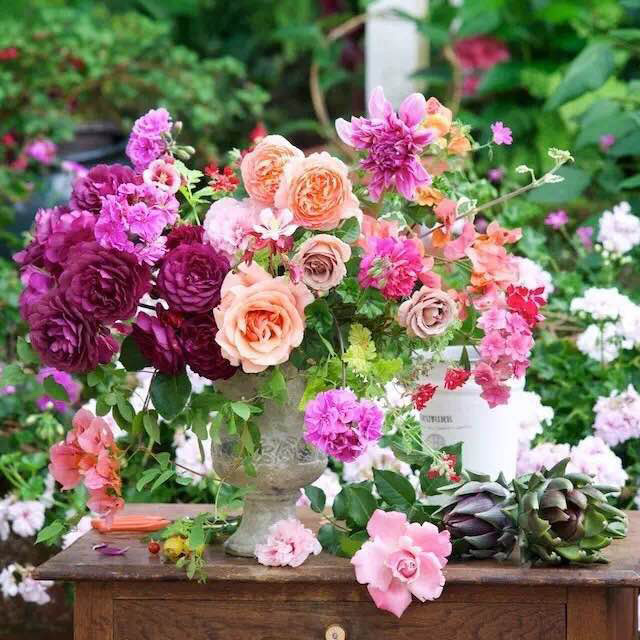 Nuannuan Peninsula random seasonal rose plant efficient drug collection Gardening tools convenient multi-functional set