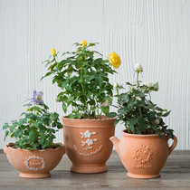 Fleshy trend happy full red pottery flower pots flower green plant pots ceramic flower garden office breathable pot