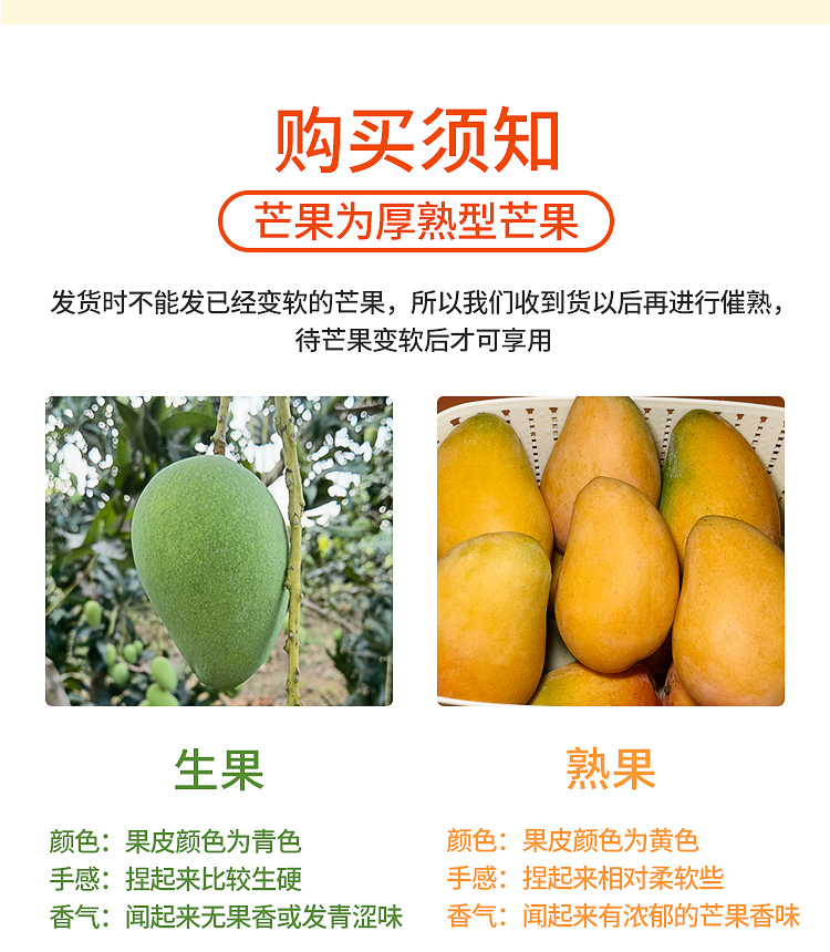 广西当季新鲜芒果整箱5斤现摘