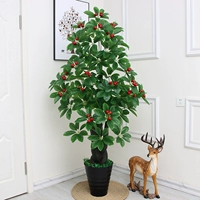 1,8 метра основного транспортного отчета XIGUO+POT+трава