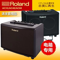 Loa guitar chính hãng Roland AC-33 AC40 60 hộp điện đàn piano dân gian âm thanh guitar RW - Loa loa lg xboom rn7