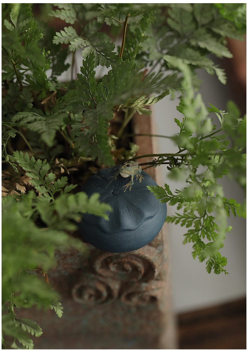 The Spray frog tea pet yixing purple sand tea by hand pet play kung fu tea tray was furnishing articles furnishing articles products can raise water tea