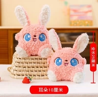 Касси Кролик