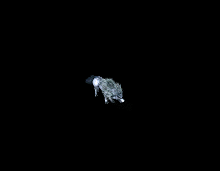 怪物素材怪物素材0507(自定义)