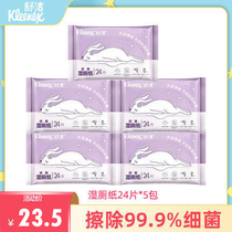 Shujie Wet Toilet Paper Lady Menstrual Private wet towels wet toilet paper Family small bag Adult female Affordable Wet Toilet Paper