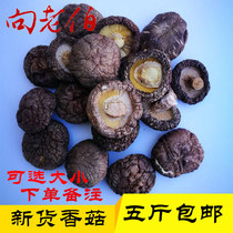 (Optional size) farmhouse mushrooms dried goods Big mushrooms Mushroom mushrooms household dried small mushrooms 500g