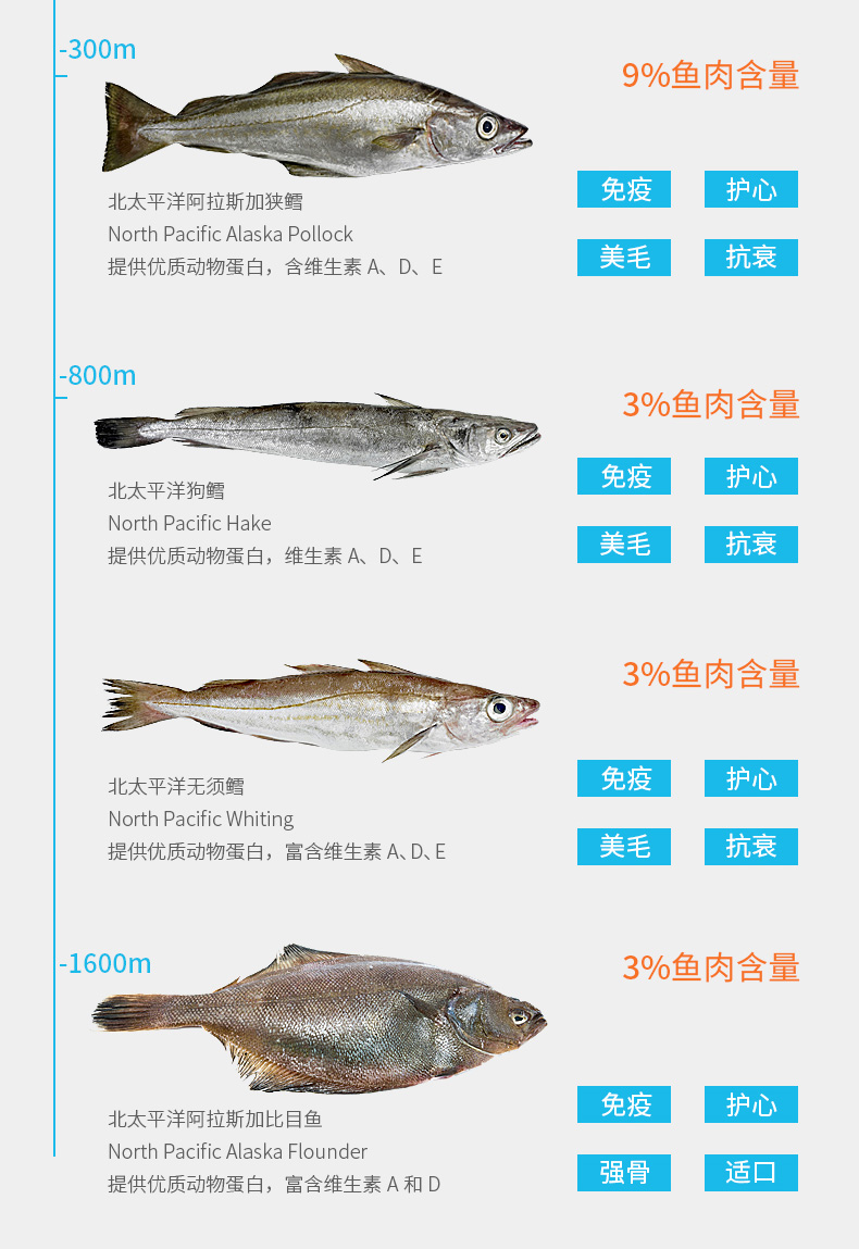 Có thức ăn cho cá mèo cố gắng ăn cá biển sâu 60gx2 7 loại cá 85% thành thức ăn cho mèo mèo. - Cat Staples royal canin cho mèo