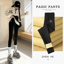 Plus velvet padded shark skin leggings womens autumn and winter wear high waist VC Barbie flight pants pressure yoga pants winter