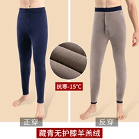 Тибетский зеленый лямбсепа -коленый колен