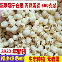 2023 new goods Fujian Jianning lotus seeds dry goods 500g farm handmade peeled and heartless white lotus without sulfur