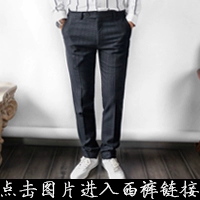 Động vật có xương sống nam Hàn Quốc sọc đen đậm phù hợp với quần hai mảnh Light Business Slim Suit