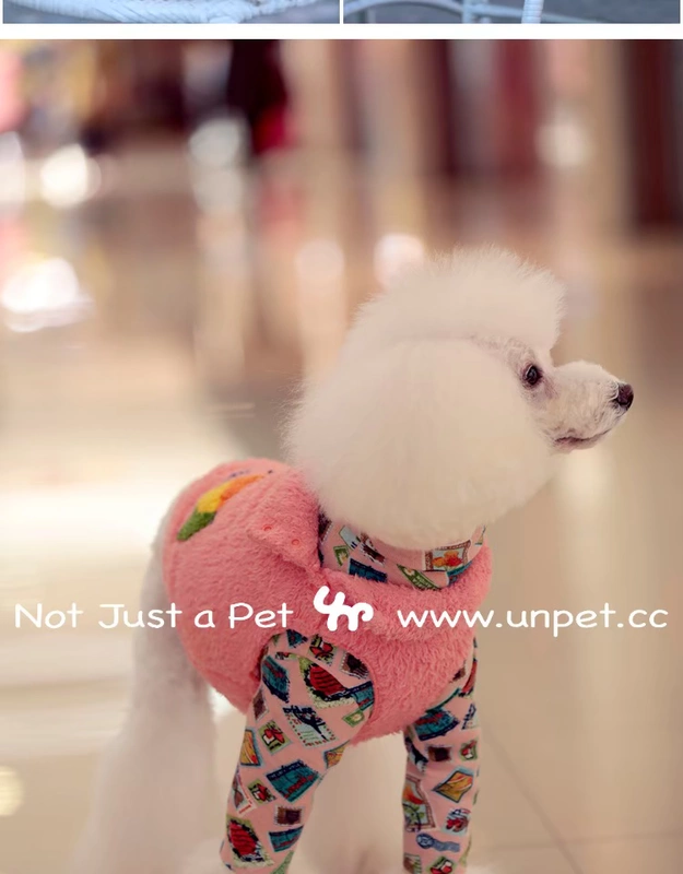 UNPET Breguet Pet Dog Dress Nhật Bản Cổ áo cao cổ áo sơ mi dài tay áo thun tem Doodle mẫu cá tính - Quần áo & phụ kiện thú cưng