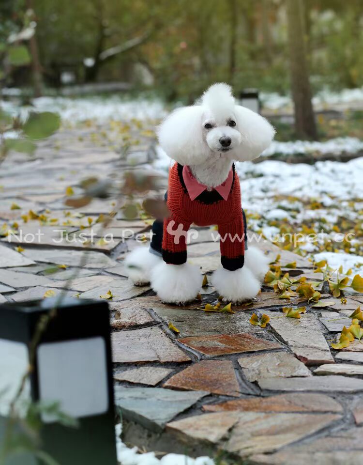 UNPET Breguet Quần áo cho thú cưng Little Princes Fox Sweater Quần áo làm bằng tay dễ thương tuyệt đẹp - Quần áo & phụ kiện thú cưng áo poodle