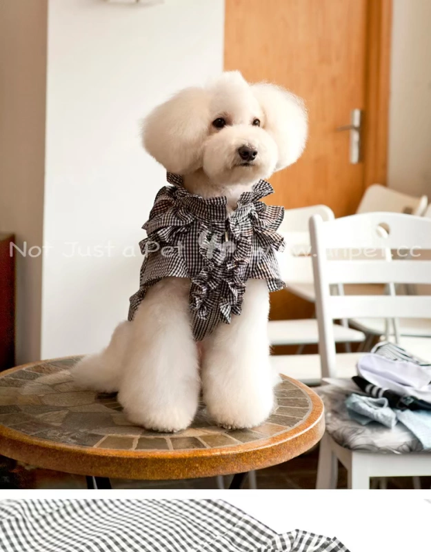 UNPET Breguet Dog Dress Teddy Dress Mùa xuân và mùa thu Kẻ sọc tinh tế Đầm ren Anh - Quần áo & phụ kiện thú cưng