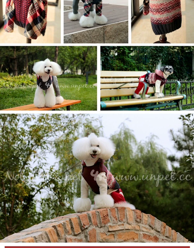 UNPET Breguet Pet Chó và Chó Teddy Bear Schnauzer Quần áo Áo hoodie Anh Áo trùm đầu đôi - Quần áo & phụ kiện thú cưng