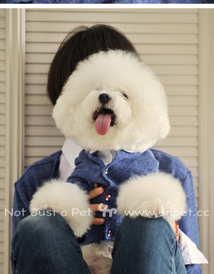 UNPET Breguet Pet Quần áo Quần áo Teddy Bears Vòng cổ dài tay áo xanh Áo khoác chó Áo len Hàn Quốc - Quần áo & phụ kiện thú cưng áo dành cho mèo	