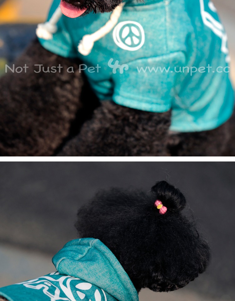 UNPET Breguet Pet Dog Cat Trang phục Biểu tượng phản chiến Teddy Bear Đan áo hoodie hai lớp cộng với áo nhung - Quần áo & phụ kiện thú cưng quần áo cho thú cưng