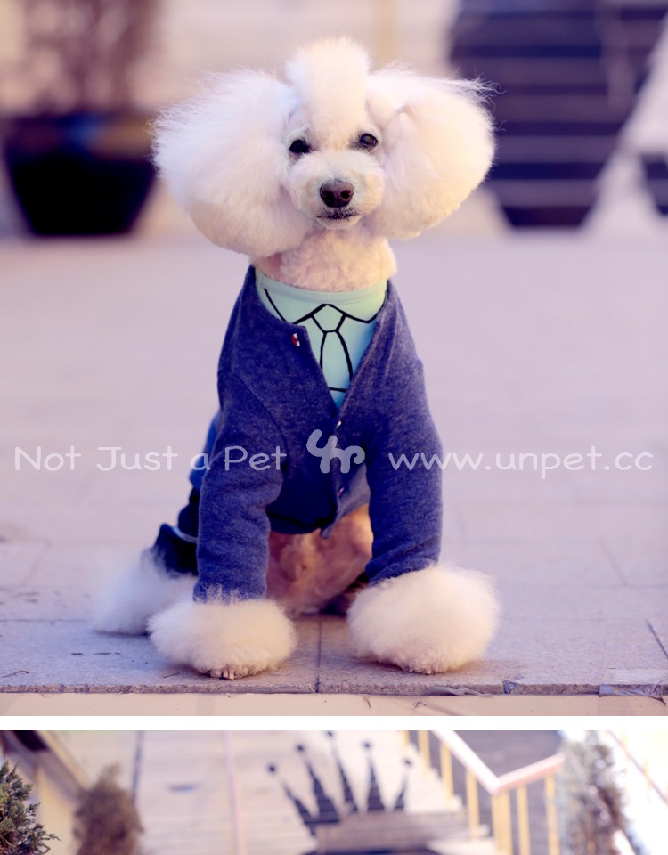 UNPET Breguet Pet Quần áo Quần áo Teddy Bears Vòng cổ dài tay áo xanh Áo khoác chó Áo len Hàn Quốc - Quần áo & phụ kiện thú cưng áo dành cho mèo	