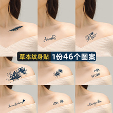 Premium feeling Instagram chest, clavicle, shoulder, pure desire, internet celebrity, semi permanent female herbal juice tattoo sticker, waterproof and long-lasting