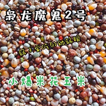 Xiaolong small popcorn corn young pigeons brooding period letter race young pigeon food bird food 50 pounds Jiangsu Zhejiang Shanghai and Anhui