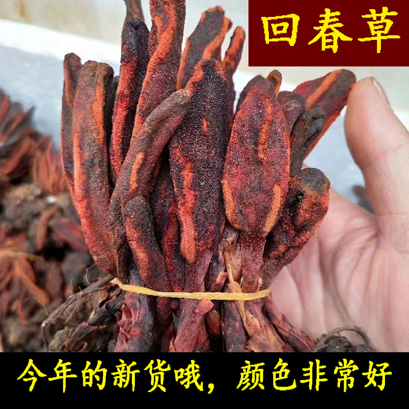 New stock 200g Back to spring grass not old straw Top of the day Wine Stream Fruit Lock Yang Cistanche Male Kidney Nourishing Wine