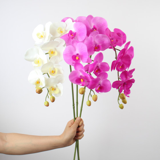 PU手感白色蝴蝶兰仿真花假花单枝楼盘酒店前台室内摆件客厅装饰花