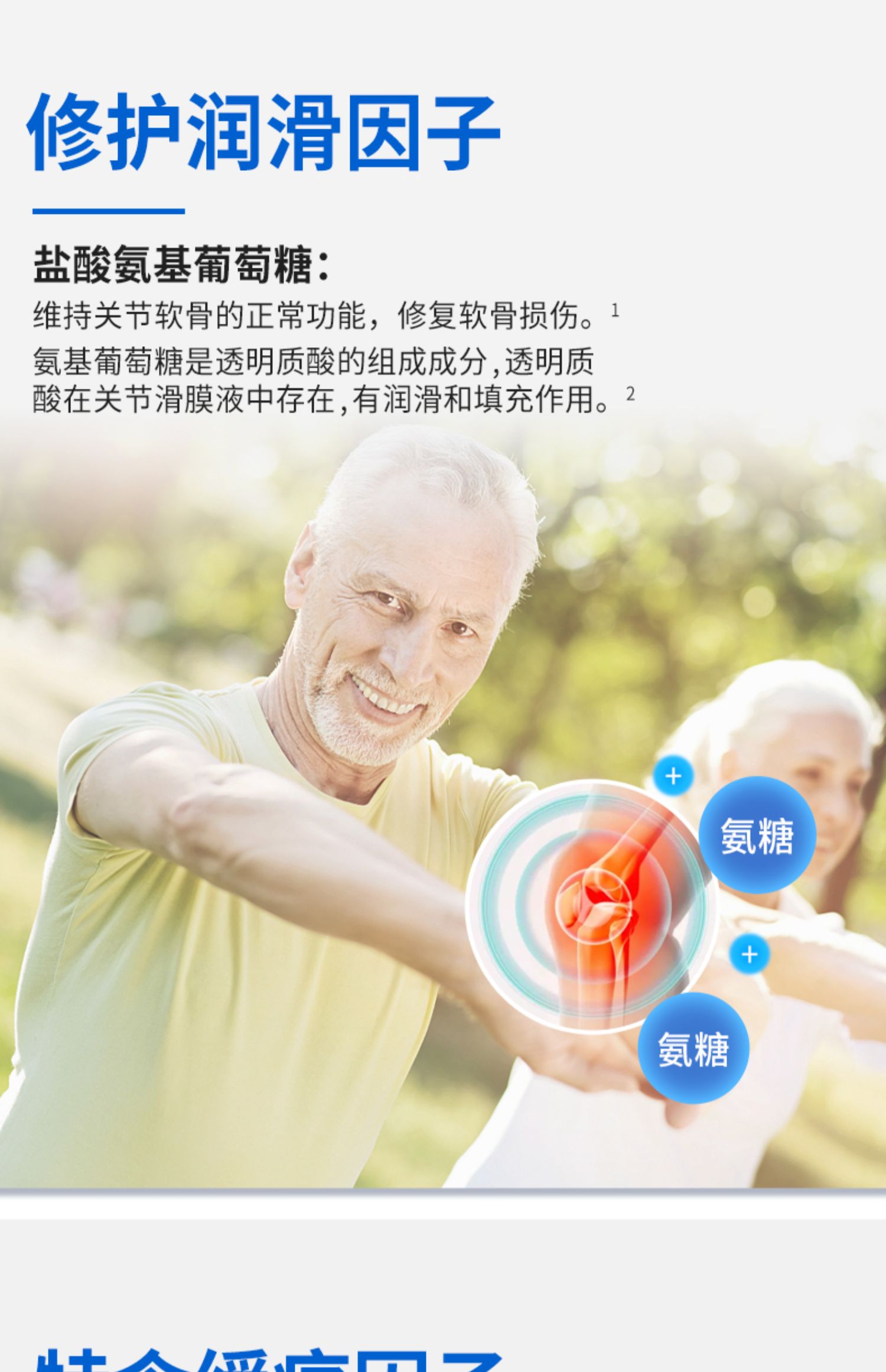 osteobiflex关捷健氨糖软骨素氨基葡萄糖