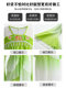 Jiangnan Lotus Picking Children's Performance Costume Classical Dance Costume Fish Playing in Lotus Leaves Lotus Props Women's Gauze Dress
