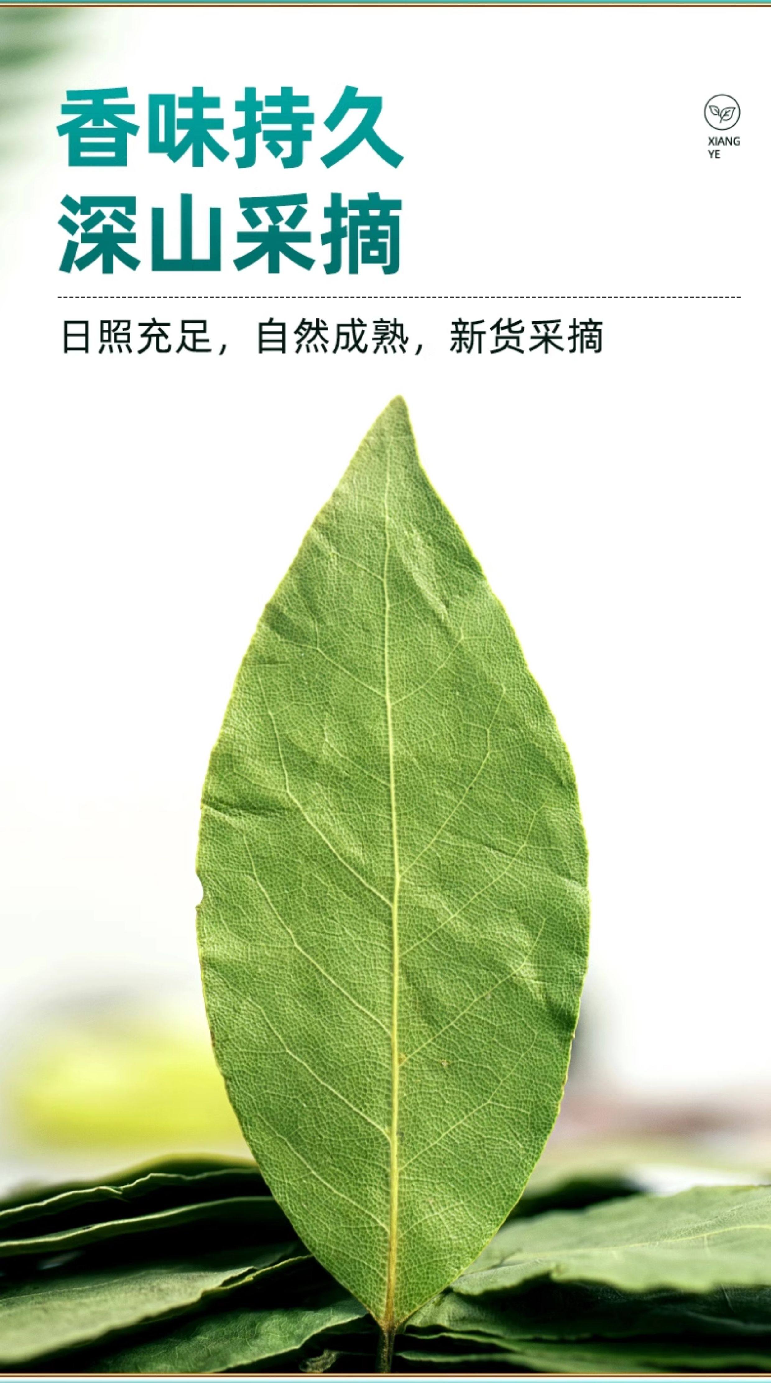 安享好物 安享D级香叶-桂味王香叶  