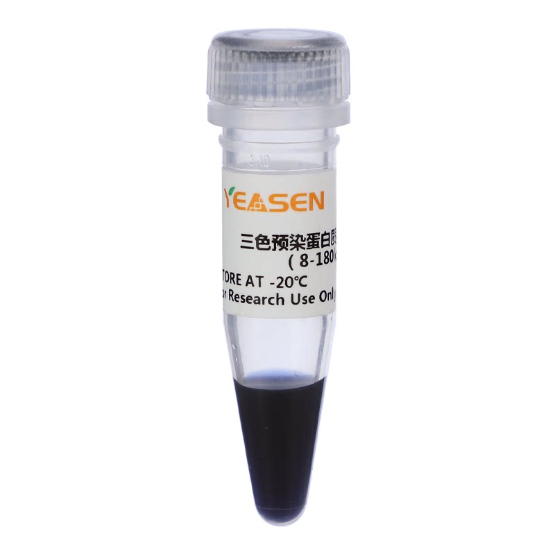 蛋白Marker 三色预染常规分子量蛋白质分子量标准(10-180 kDa)