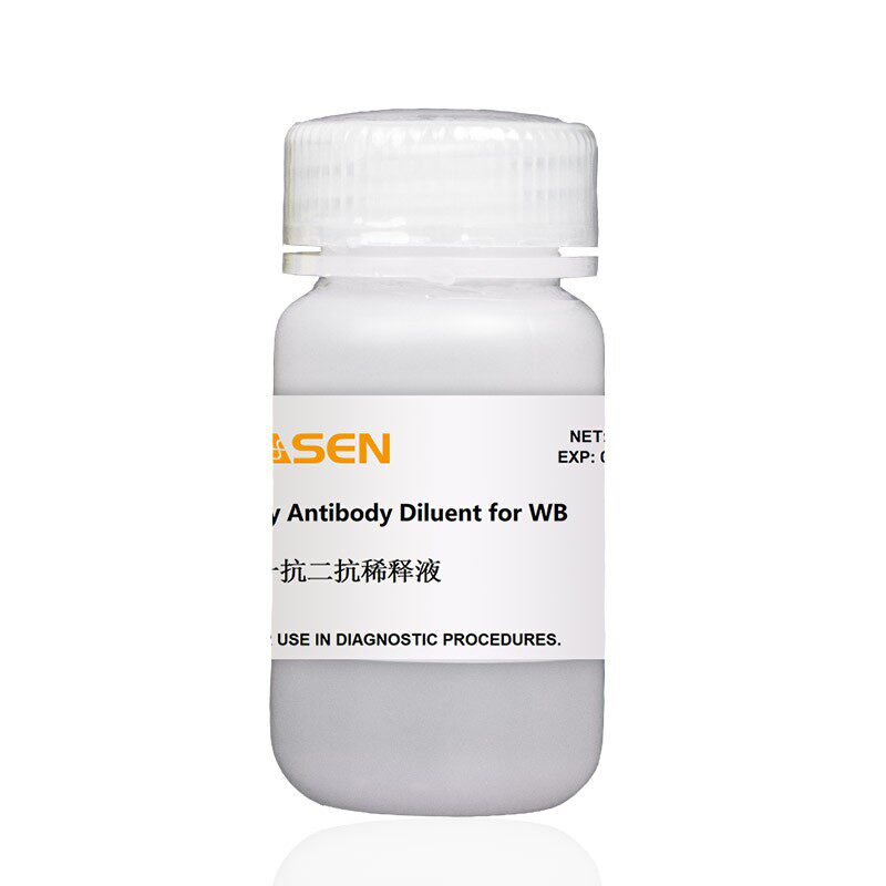 36206ES76 翌圣生物 WB专用一抗二抗稀释液