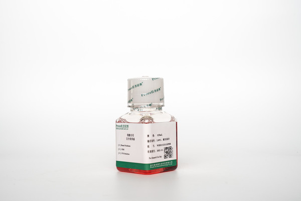 KGN细胞专用培养基 货号CM-0603 Procell/普诺赛