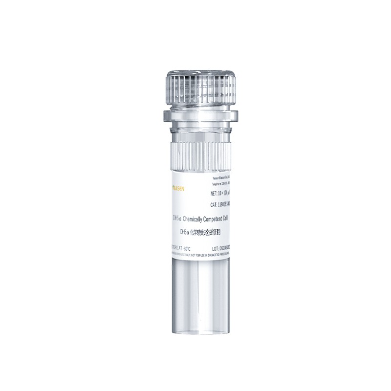BL21(DE3) Chemically Competent Cell 货号11804ES80 翌圣生物