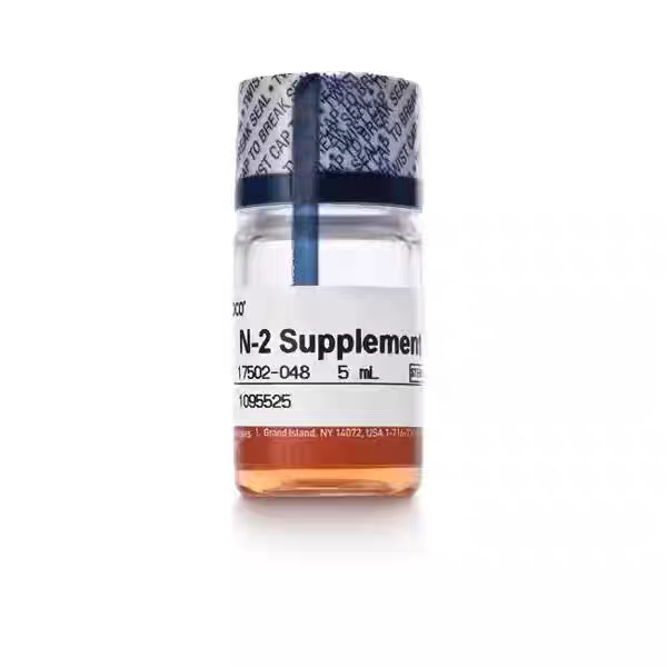 Gibco 货号：17502048 N-2 添加剂 (100X) 5ml  17502048