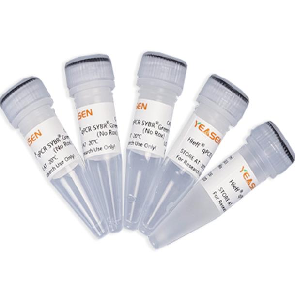 2&times;实时定量PCR扩增预混液 货号11201ES08 翌圣生物 5x1ml  现货