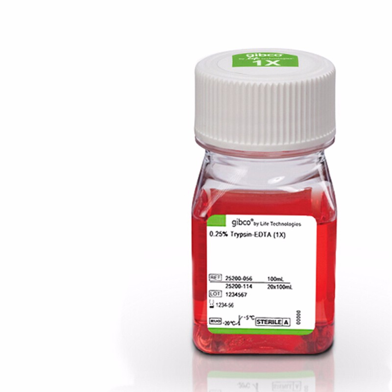 GIBCO gibco Invitrogen LIFE 25200-056 Trypsin-EDTA (0.25%) 1