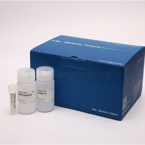 柱式 RNA 快速浓缩纯化试剂盒 货号B518688-0050 生工